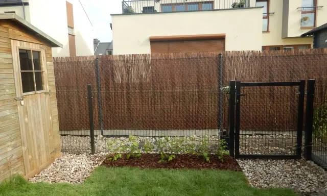 Nowe maliny w ogrodzie aranżacje. Krzewy rosną na rabacie, otoczone korą i kamieniami. Obok drewniana szopa i furtka.